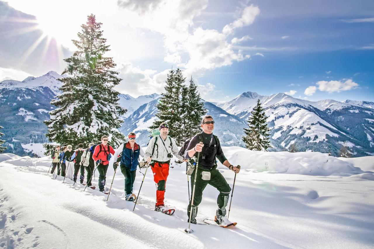 Alpen Chalets Zell Am See Нидернзилль Экстерьер фото